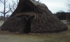 PA0_0040.JPG